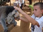 Teneryfa - Monkey Park