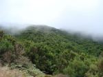 La Gomera - Park Narodowy Garajonay