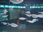 Oceanarium