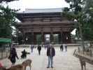 Nara - �wi�tynie i sarenki