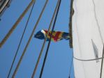 Flaga Wysp Alandzkich na �aglowcu Linden